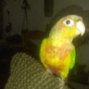 Meet your Posher, Jesus